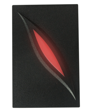 KR101-E Proximity Kart Okuyucu (AC)